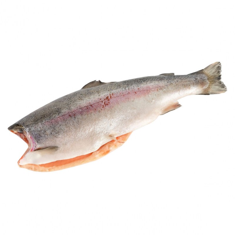 forel-09-14