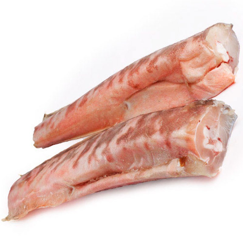 kongrio