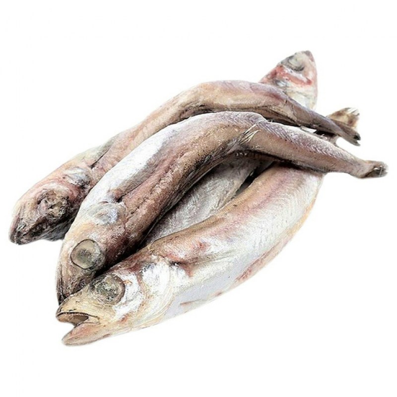 putassu