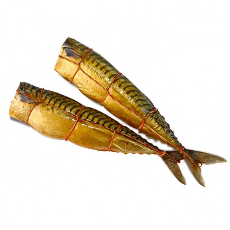 skumbria-gk