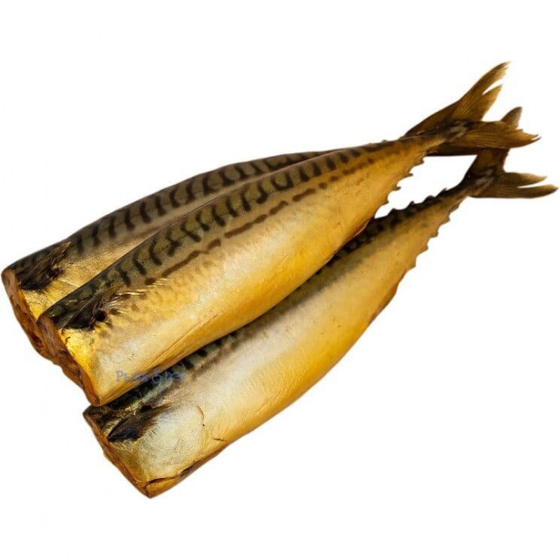skumbria-hk