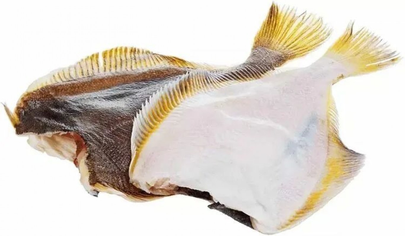 камбала